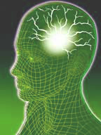 brain